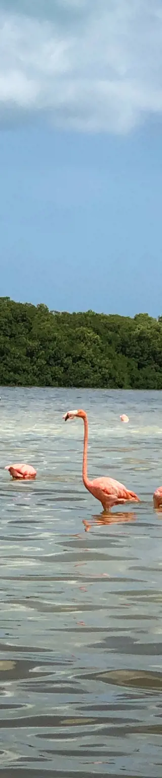 Mérida - Finde heraus, warum die Stadt auch "Die Schöne" genannt wird
